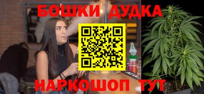 стафф Лесосибирск
